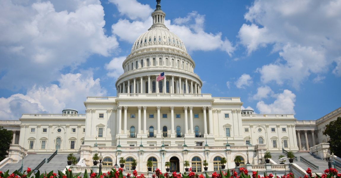 All 435 House seats and 23 Senate seats are being contested!