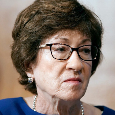 Susan Collins - We the People 2020