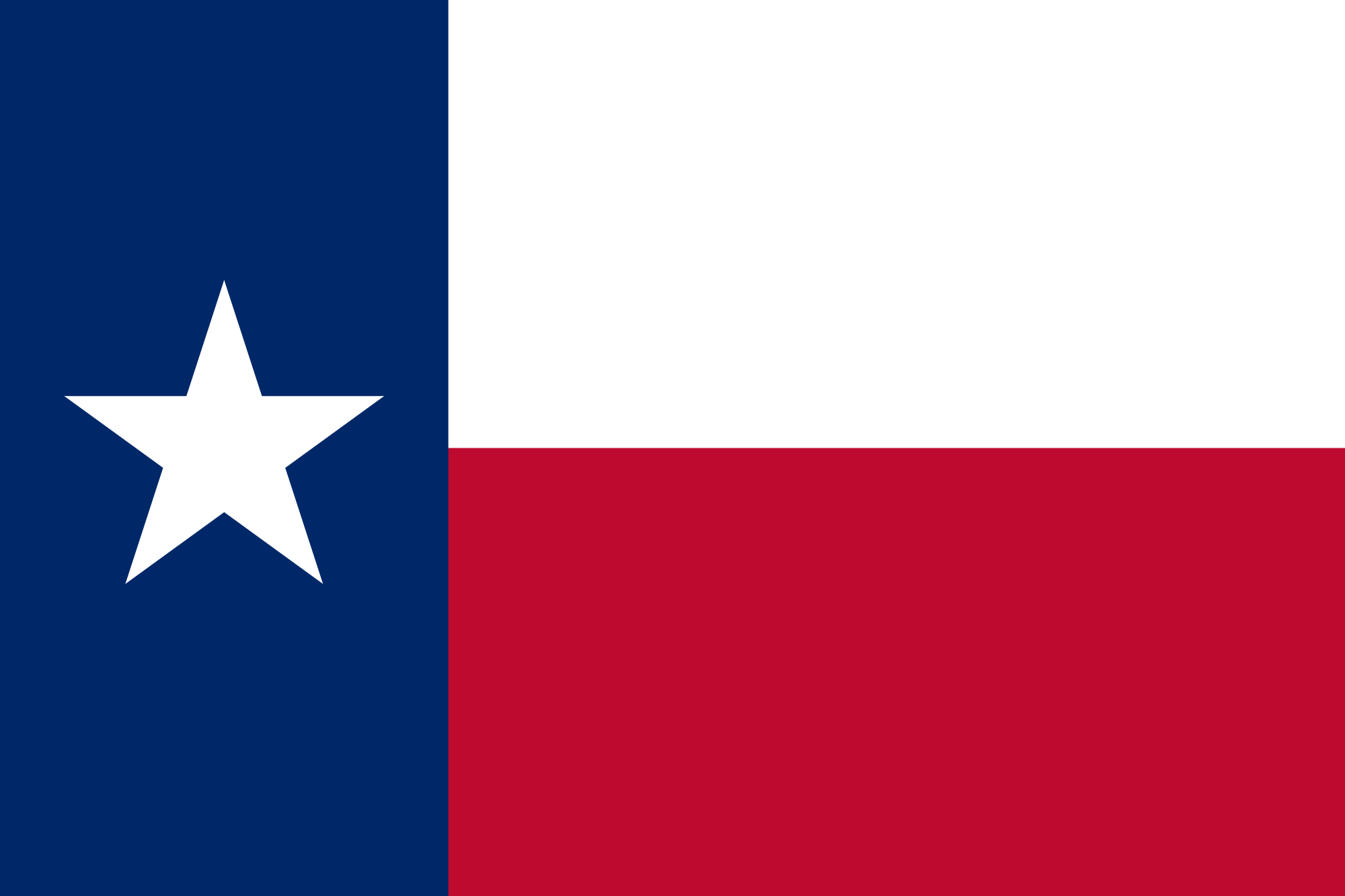 Constitutional Candidates Running In Texas - We the People 2020 & Beyond
